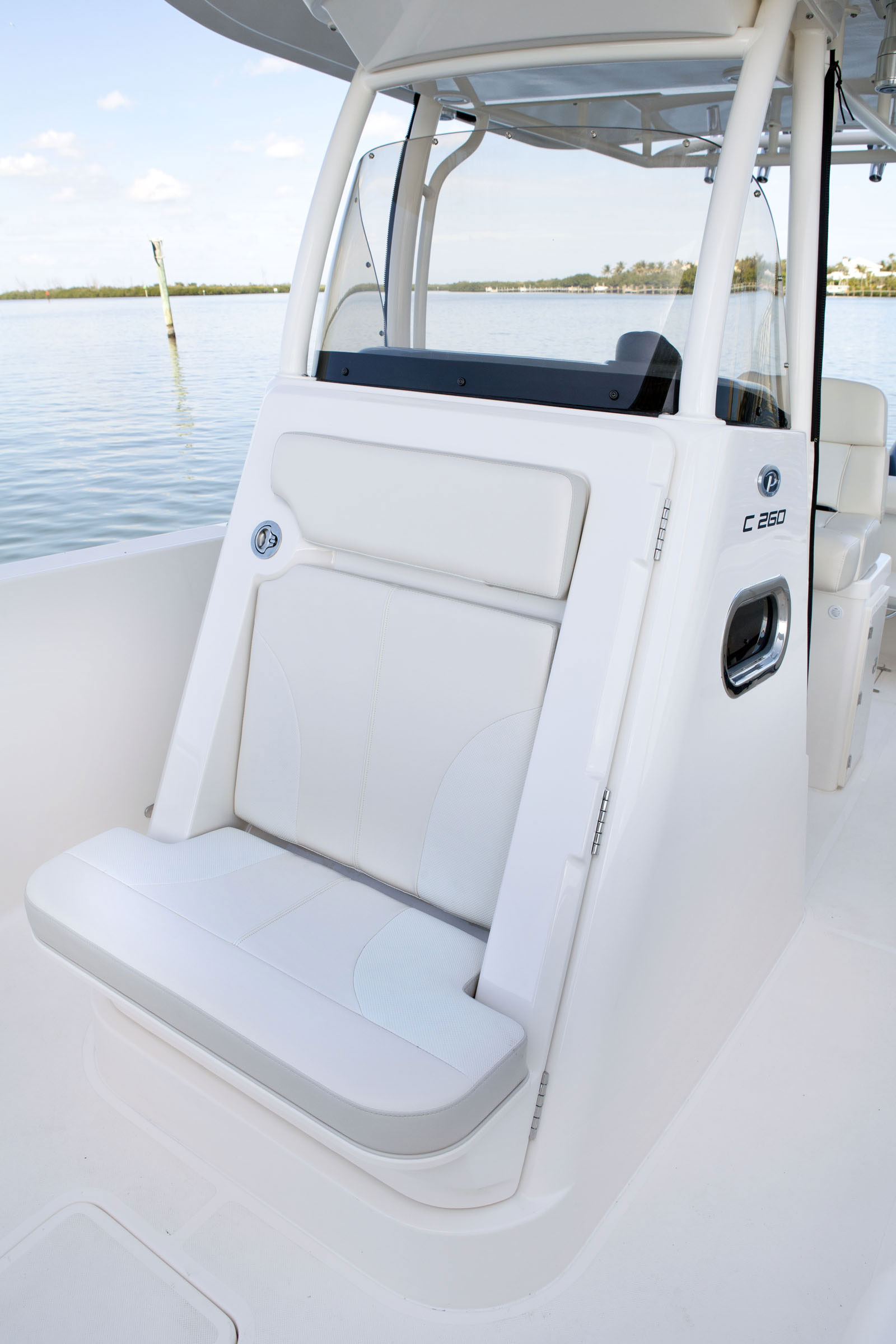 pursuit C 260 CENTER CONSOLE-9